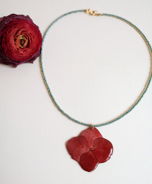 Red Hydrangea